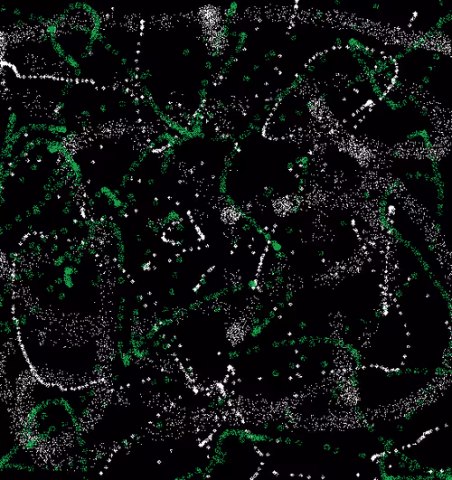 Item #92429335282260909374609704994630678571641178898525213418284637737383823933441 Media