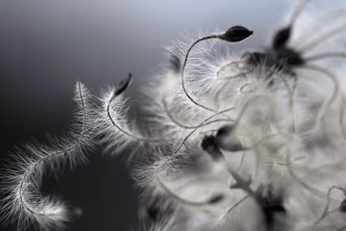 Item #13606181839721576894155883308236999132816604807813273145513526391248689037313 Media