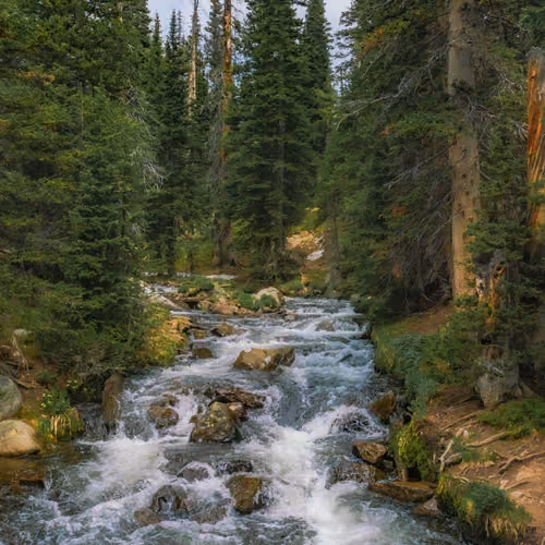 Colorado Landscapes  #1 