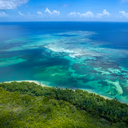 #13 Buccoo Reef
