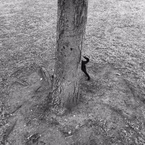 Item #56431751608181922231259635946092067407977788553703326303680802288760501829633 Media