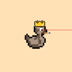 Dodgy Duck #927