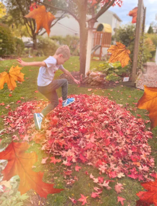 Item #60725800993429442790109822101510222634365938038932659137570571528813787742209 Media