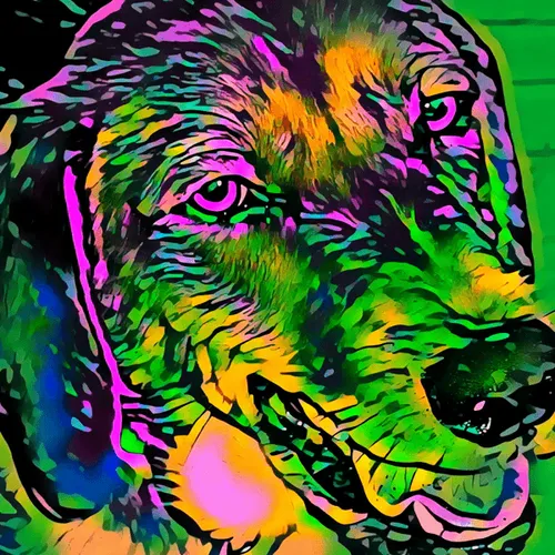 Item #50830097462543580601473563981388698009005024090223633461481089860220158476289 Media