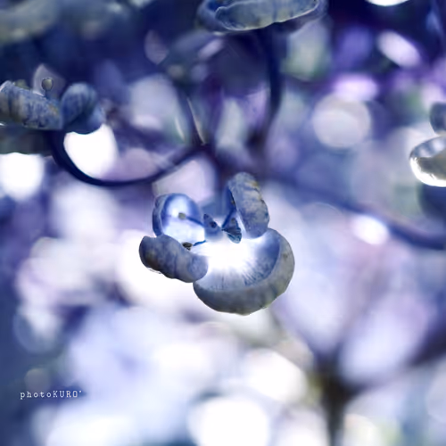 Item #103339499658907074455911852821514679659062129792359254936295356892906130505729 Media