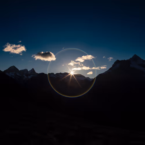 Untitled Collection #61890220