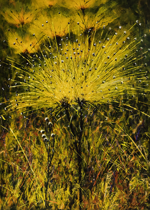 Item #110029838572198662821673087368431480016956825603177729317162674704043705630721 Media