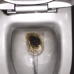 12660136923828748263426703316480839463053827608546839420335323698556435431425