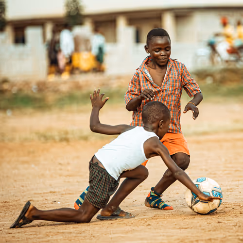 Item #69785723640001619757607758750255893339862372780250443418750514860900797644801 Media