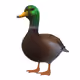 14357036323222136085536008049210009256307929946219494709658713043703926095873