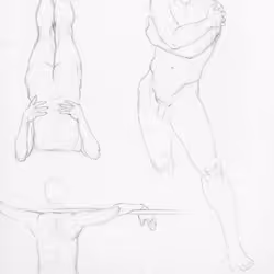 30406257039223993226983222248323519429754603188817933007734280531440241213441