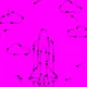 23508946318895754226256931962652100373362977631274275319531740548197032919041