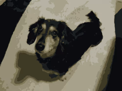 Item #31763483209557281269385879109424211242464800578644497247199877755239529447425 Media