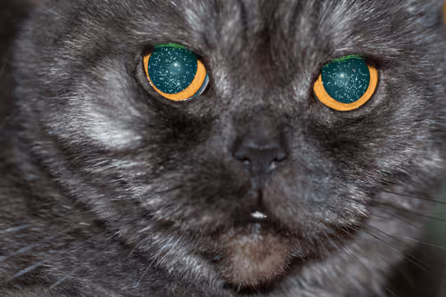 Item #87517460979061479057086446069239467347692844198543505013831102818558425432065 Media