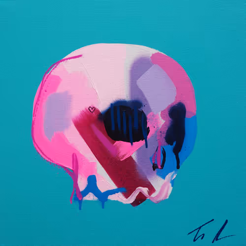 Memento Mori 100 Skulls By Tim Fowler