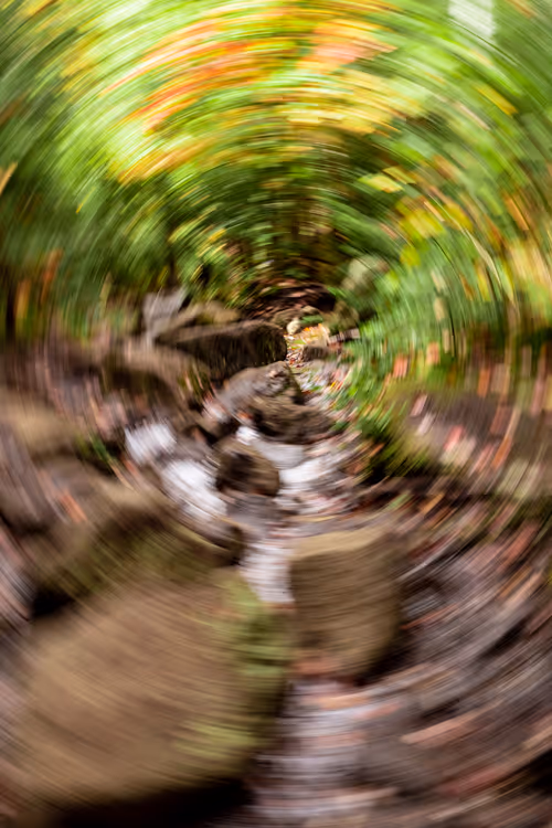 Item #9566349108743429006839101100921653396136012468553527091874592563494335283201 Media