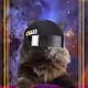89106709528543484152471237248219117686051147195854551020414559902114449981441