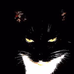 23538819986925566434507765811444276093104658907602947149672917452659091308545