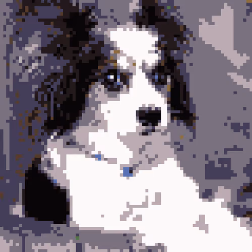 Papillon Effects