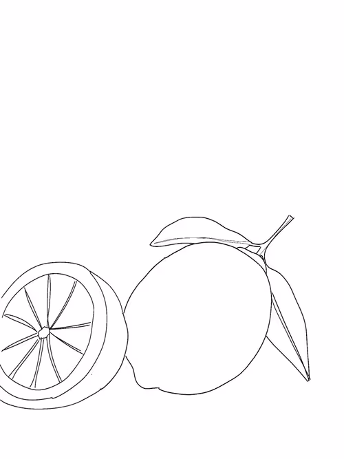 Item #88586504170275738881642373300592236200756239934994765531384634078759558840321 Media