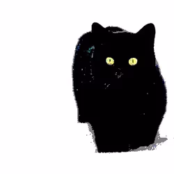 TABBY Billeownaire #9