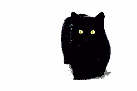 23538819986925566434507765811444276093104658907602947149672917333911835508737