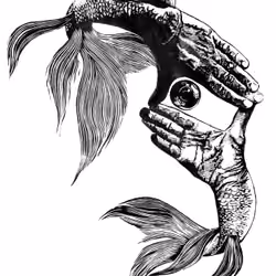 BADJAO 1 - linocut by Monika Onoszko, Limited Edition