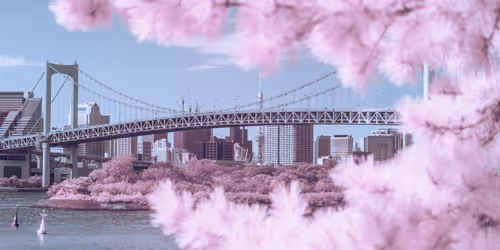 Item #112238918999279188162345983200387422450369680175959231698809594204034856648705 Media