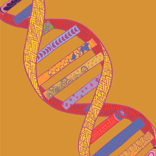 DNA #41