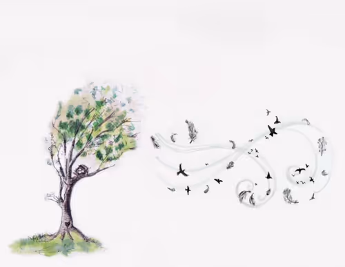 Item #17635803375648012338610213380030160191715370757553255260744606497570182660097 Media