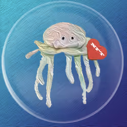 41776025324002017952572422073316458441069080831023694546850786908894222352385