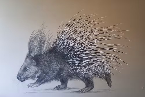 Item #4288309145407295523431116215122397111529594114986911850026632780460108808202 Media