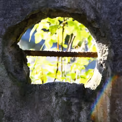 Curiosity