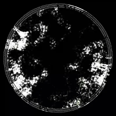 Item #99152019331641229788904140219333937428079268105691841862699864890869972729857 Media