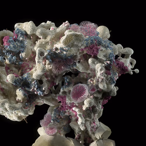 Item #95328989759495108423702854397899843607456839458301187039596122498289073389569 Media