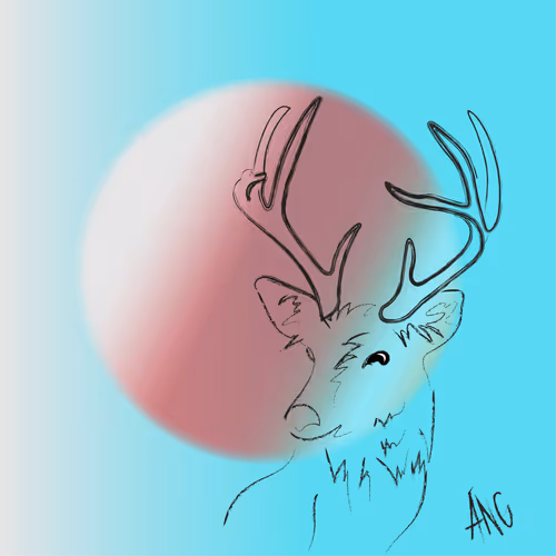 1 1 Illustrations