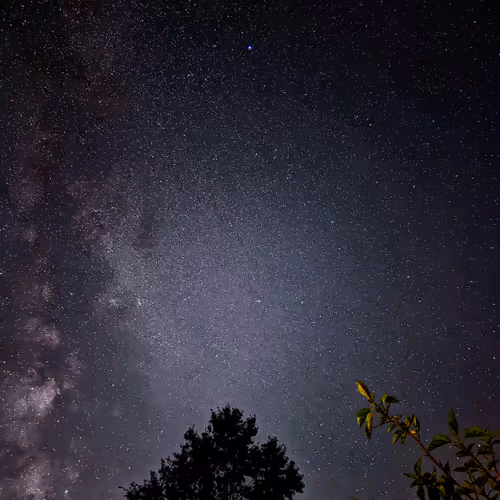 Oak vs Milky Way 