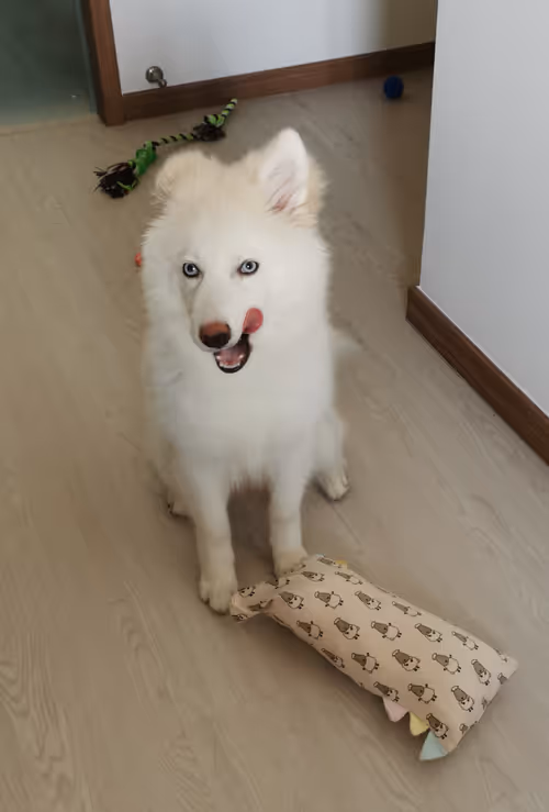 Item #11589634007344310346073007191394288969191527375593807410073591602715494973441 Media