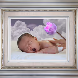 81703717885701679420244426985503748541742411620896309859703145917790086496257