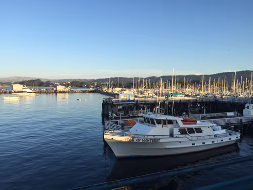 Item #70867767148206433816285647026950890777096964968120148821785755195923352256513 Media