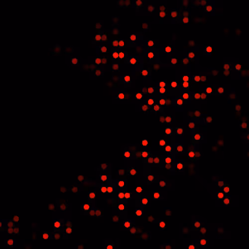 Item #94741278306917369697581403372360974416005120926574463803336762134048731561985 Media