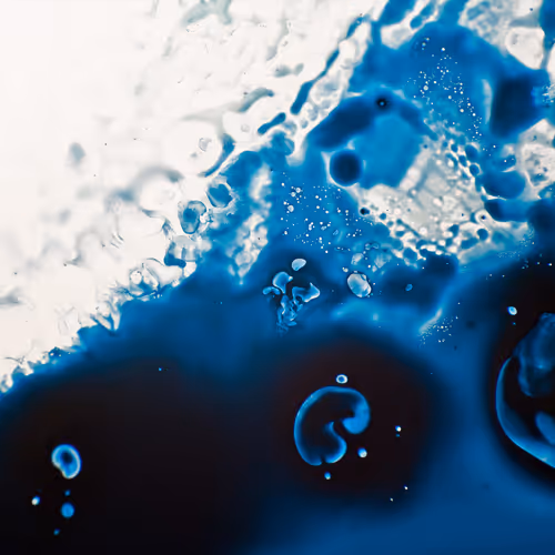 9251341193756129610411101804839683921415719585297066577807806945815588503553