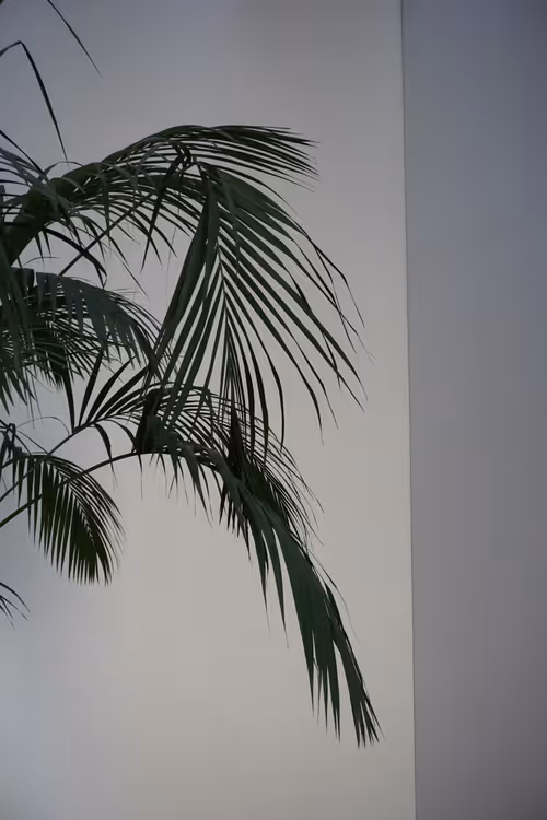 Item #96842992655053546035716442888974081277649883699997265715561715056733256155137 Media