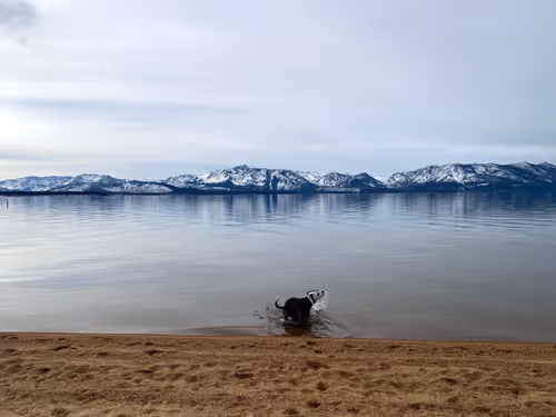 Item #31032485861556932047512782212507255574784711127847173487196557286318293385217 Media