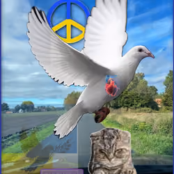 Peace Cat