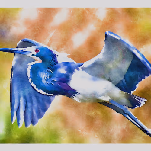 55704534837685659622621715309832868758345944585427688586690141414664343388161