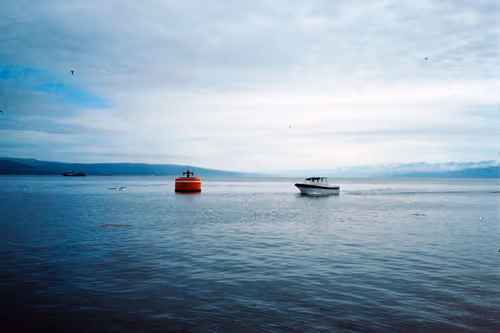 Item #86204936525623062478772312076709802278598486618652010465124009073513028648961 Media