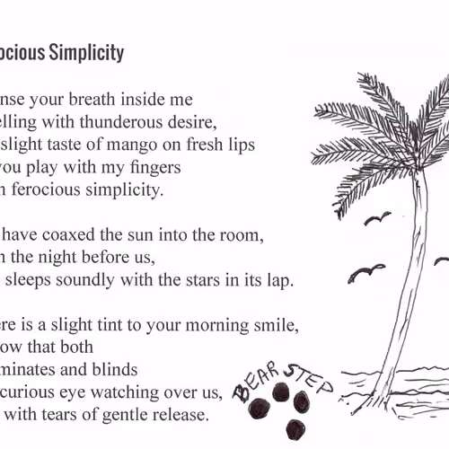 Ferocious Simplicity by Bear Step