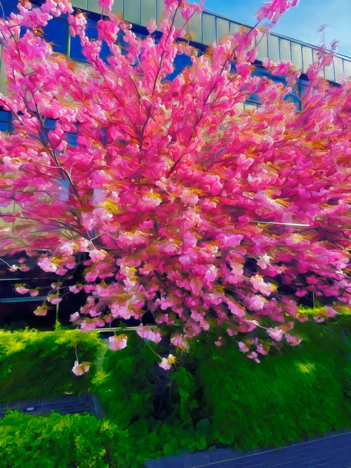 Item #83879550775161028915882403418050652989363162086131426087699803202491818967041 Media