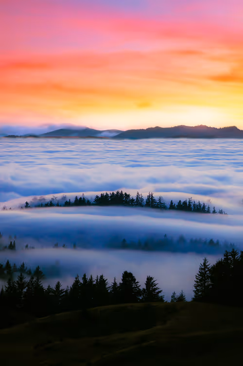 Item #28249669150142615207579555762608265536132247185199409993543532462963832127489 Media